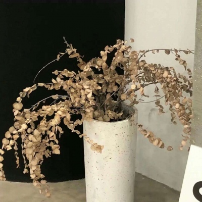 兽设场景透视教程FurryQQ群